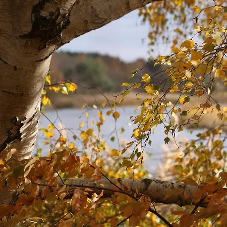 Am Trommelplatz - 3 * Wieck auf dem Darss
