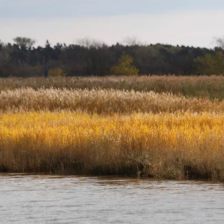 Am Trommelplatz - 3 * Wieck